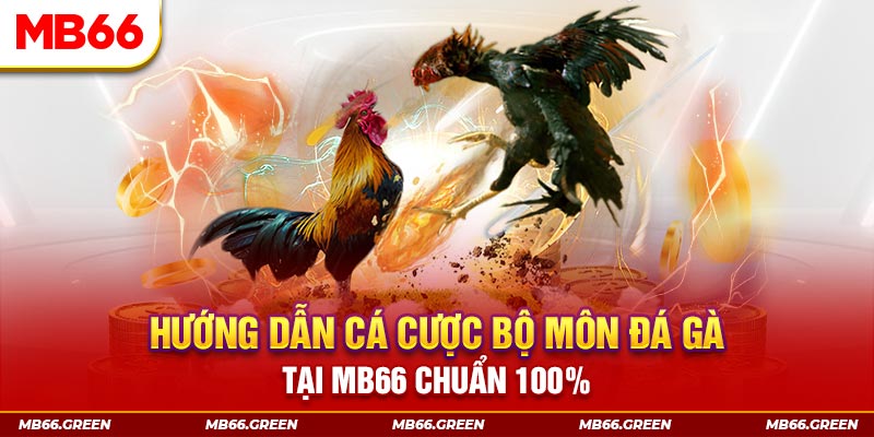 w88ud2 xổ số chủ nhật