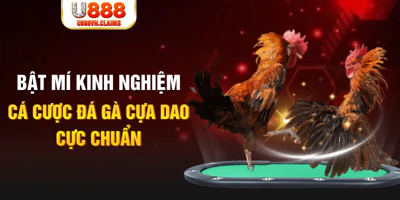 w88ud2 đăng nhập mậu binh rút tiền nhanh