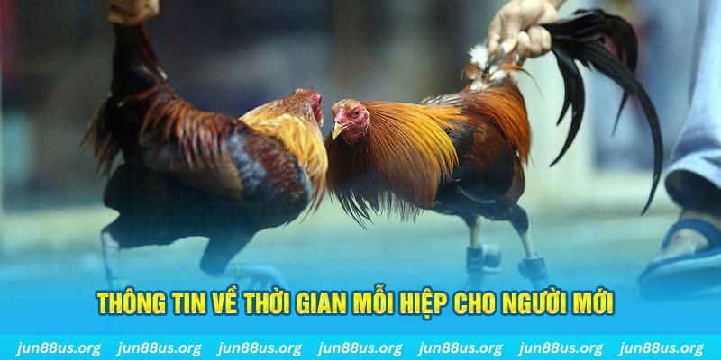 w88ud2 R88 Điện Tử