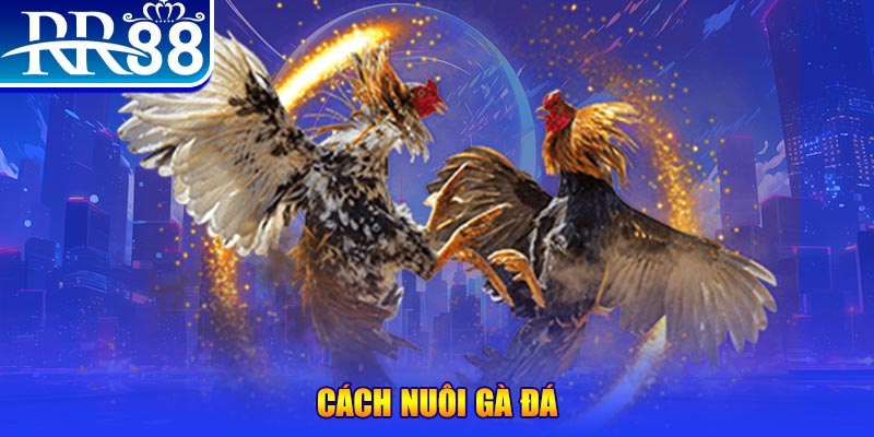 w88ud2 ÁT CHỦ BÀI 5 LÁ
