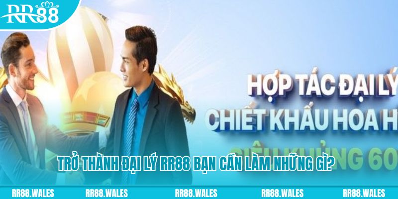 w88ud2 trong baccarat, ai là người chia bài chính？