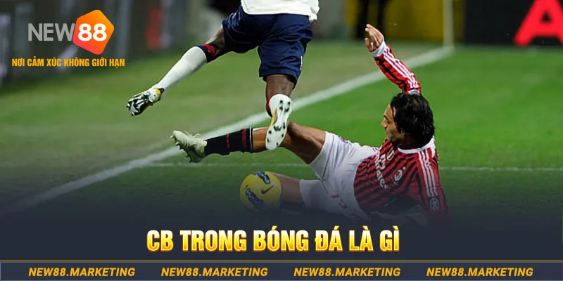 w88ud2 Xì tố