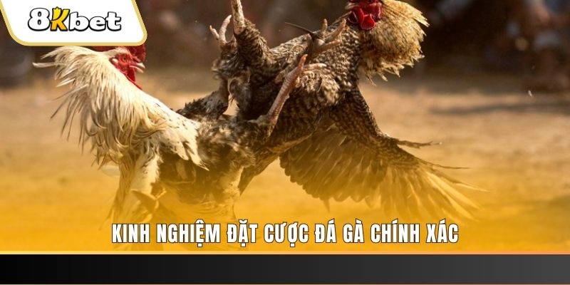 w88ud2 tai game danh bai mien phi ve may tinh