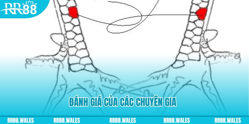 ban ca vang