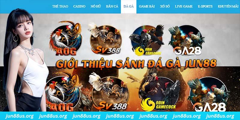 trực tiếp đá gà hôm nay