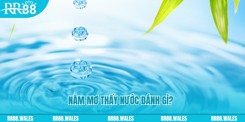 w88ud2 đăng nhập mậu binh mới nhất