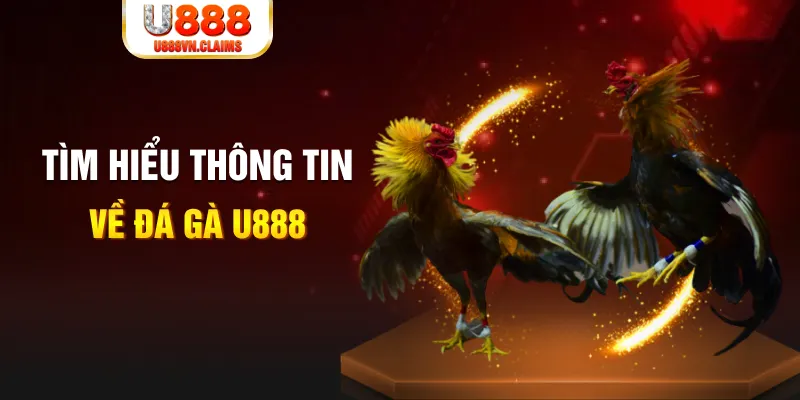w88ud2 đăng nhập roulette