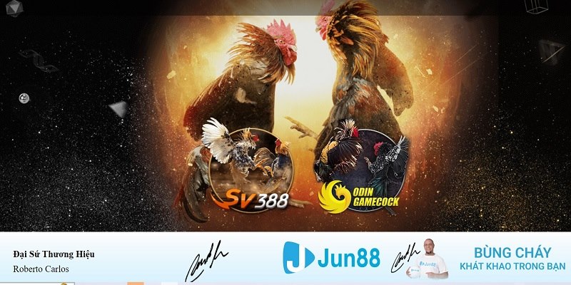 w88ud2 tải game xếp bài về máy tính