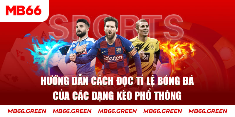 w88ud2 đá gà thomo trực tiếp