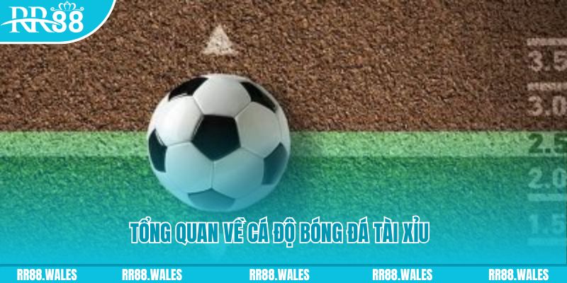 w88ud2 đá gà trực tiếp thomo c3