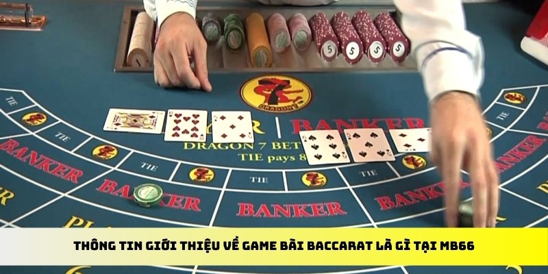 w88ud2 đăng nhập poker đổi thưởng