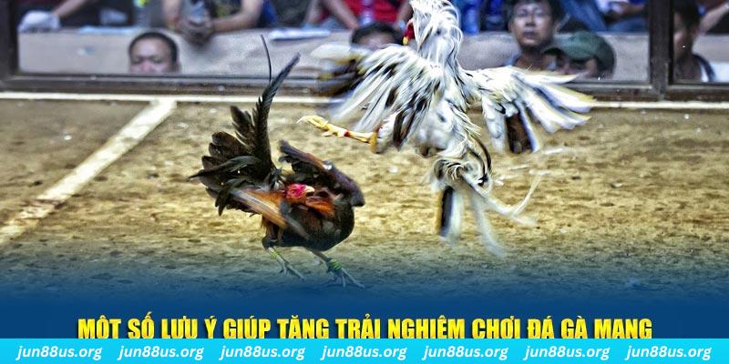 w88ud2 bắn cá kingfun