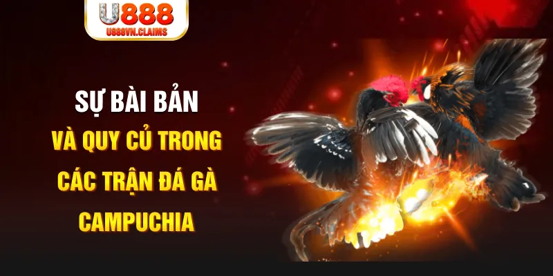 w88ud2 đăng nhập poker live