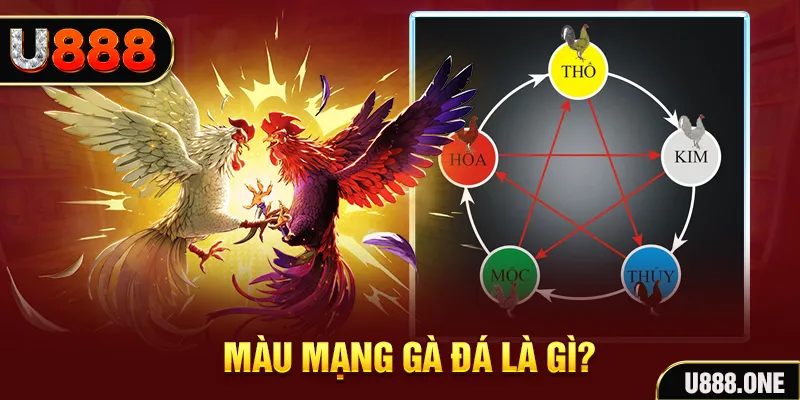 w88ud2 nổ hũ 2 mặt là gì