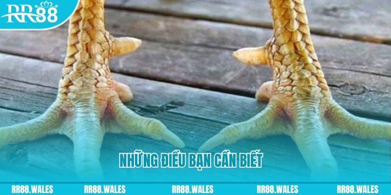 w88ud2 mơ nổ hũ đánh con gì