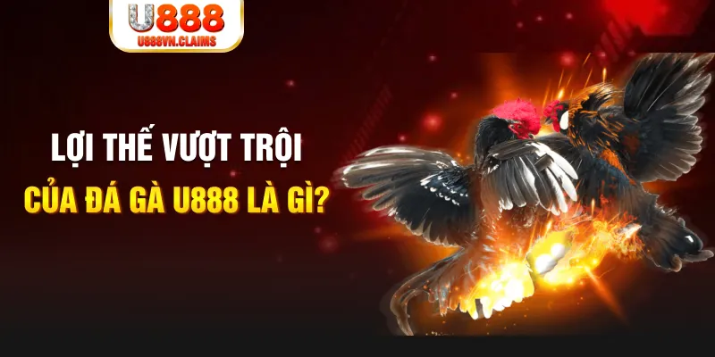 w88ud2 Phỏm Tá Lả
