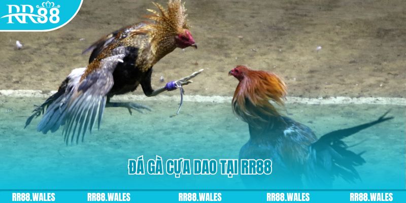 w88ud2 đăng nhập nổ hũ uy tín